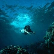 The Blue Lagoon - galeria zdjęć - filmweb