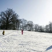 The Children - galeria zdjęć - filmweb