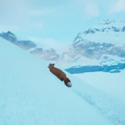 Spirit of the North - galeria zdjęć - filmweb
