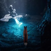 Spirit of the North - galeria zdjęć - filmweb