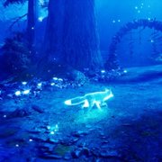 Spirit of the North - galeria zdjęć - filmweb