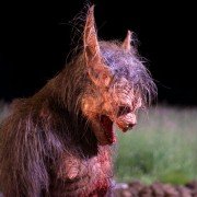 Late Phases - galeria zdjęć - filmweb