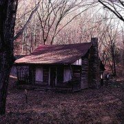 The Evil Dead - galeria zdjęć - filmweb