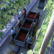 Polska farma 2017 - galeria zdjęć - filmweb