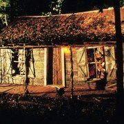 Evil Dead II - galeria zdjęć - filmweb