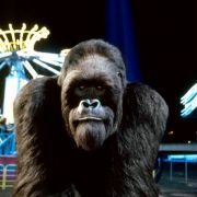 Mighty Joe Young - galeria zdjęć - filmweb