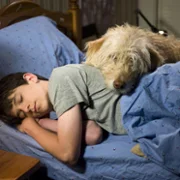 Diary of a Wimpy Kid: Dog Days - galeria zdjęć - filmweb