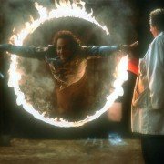 The Animal - galeria zdjęć - filmweb