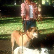 The Animal - galeria zdjęć - filmweb