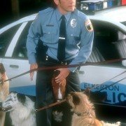 The Animal - galeria zdjęć - filmweb