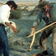 Vanishing Point - galeria zdjęć - filmweb