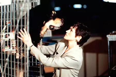 Morderczy przyjaciel - galeria zdjęć - filmweb