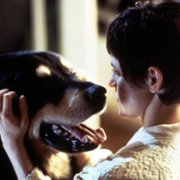 Morderczy przyjaciel - galeria zdjęć - filmweb