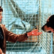 Morderczy przyjaciel - galeria zdjęć - filmweb