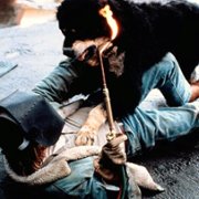 Morderczy przyjaciel - galeria zdjęć - filmweb