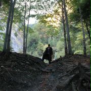 Timber Falls - galeria zdjęć - filmweb