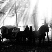 Aferim! - galeria zdjęć - filmweb