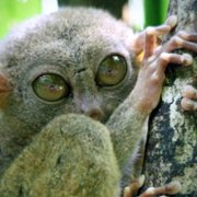 Absurd Planet - galeria zdjęć - filmweb