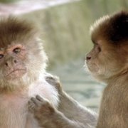 Absurd Planet - galeria zdjęć - filmweb