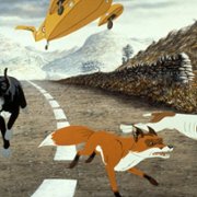 The Plague Dogs - galeria zdjęć - filmweb