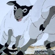 The Plague Dogs - galeria zdjęć - filmweb