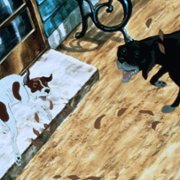 The Plague Dogs - galeria zdjęć - filmweb