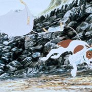 The Plague Dogs - galeria zdjęć - filmweb