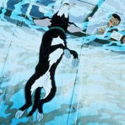 The Plague Dogs - galeria zdjęć - filmweb