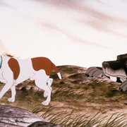 The Plague Dogs - galeria zdjęć - filmweb