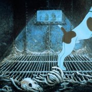 The Plague Dogs - galeria zdjęć - filmweb