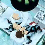 The Plague Dogs - galeria zdjęć - filmweb
