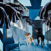 The Plague Dogs - galeria zdjęć - filmweb