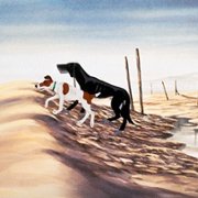 The Plague Dogs - galeria zdjęć - filmweb