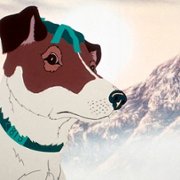 The Plague Dogs - galeria zdjęć - filmweb