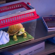 Leo - galeria zdjęć - filmweb