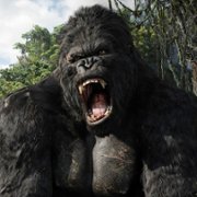 King Kong - galeria zdjęć - filmweb