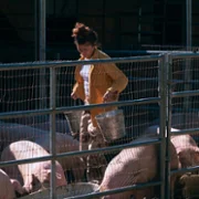 Euphoria - galeria zdjęć - filmweb