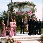 Euphoria - galeria zdjęć - filmweb