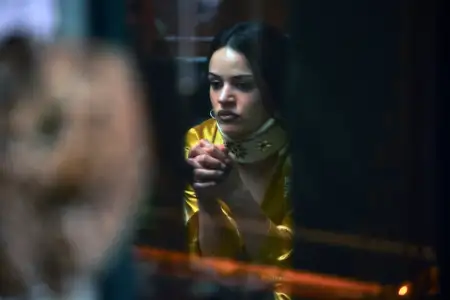 Euforia - galeria zdjęć - filmweb
