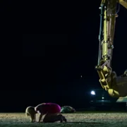 Euphoria - galeria zdjęć - filmweb