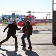The Big Year - galeria zdjęć - filmweb