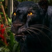 Autor-widmo - galeria zdjęć - filmweb