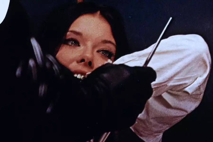 Ptak o kryształowym upierzeniu - galeria zdjęć - filmweb