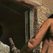 Ptak o kryształowym upierzeniu - galeria zdjęć - filmweb