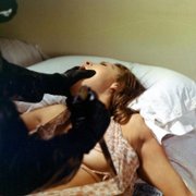 L'Uccello dalle piume di cristallo - galeria zdjęć - filmweb