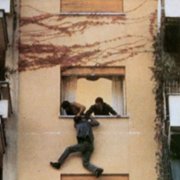 Ptak o kryształowym upierzeniu - galeria zdjęć - filmweb