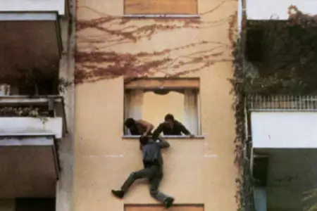 Ptak o kryształowym upierzeniu - galeria zdjęć - filmweb