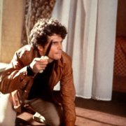 Ptak o kryształowym upierzeniu - galeria zdjęć - filmweb