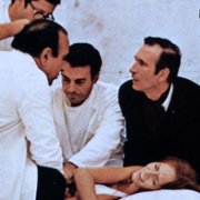 L'Uccello dalle piume di cristallo - galeria zdjęć - filmweb