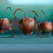 Minuscule - Les mandibules du bout du monde - galeria zdjęć - filmweb